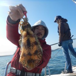きずなまりん 釣果