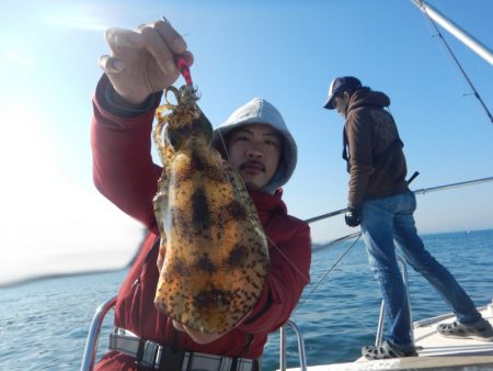 きずなまりん 釣果