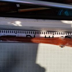 アマテラス 釣果