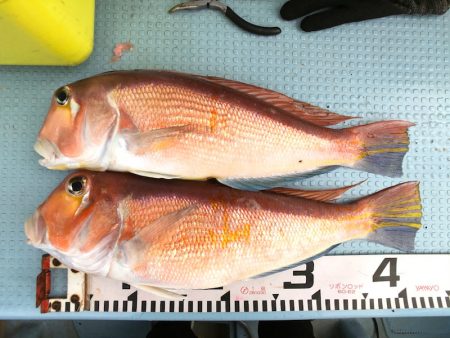 第二八坂丸 釣果