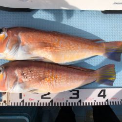 第二八坂丸 釣果