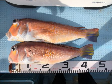 第二八坂丸 釣果