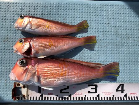 第二八坂丸 釣果