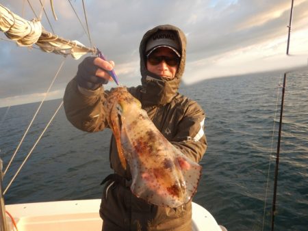 きずなまりん 釣果