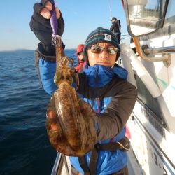 きずなまりん 釣果