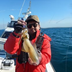 きずなまりん 釣果