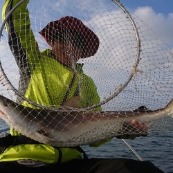 遊漁船 家入 釣果