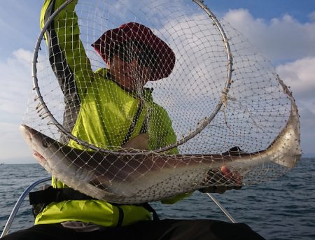 遊漁船 家入 釣果