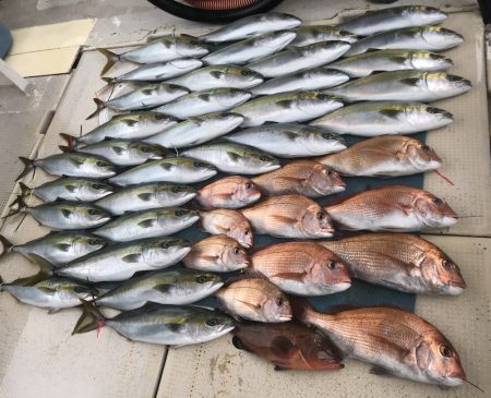 大雄丸 釣果