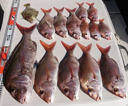 遊漁船 家入 釣果