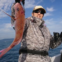 遊漁船 家入 釣果