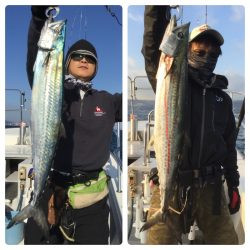 ビッグファイター 釣果