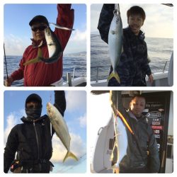 ビッグファイター 釣果