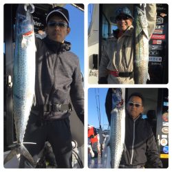 ビッグファイター 釣果