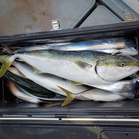 サンマリン 釣果