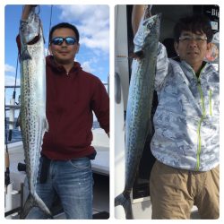 ビッグファイター 釣果