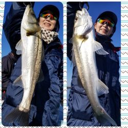 アマテラス 釣果