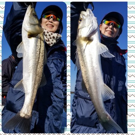 アマテラス 釣果