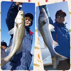 アマテラス 釣果