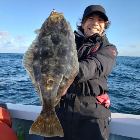 シーライオン 釣果