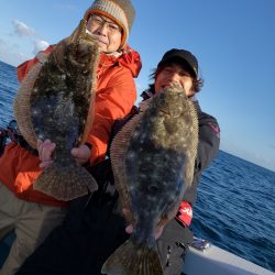 シーライオン 釣果