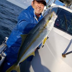 シーライオン 釣果