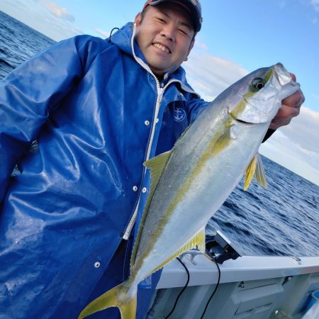 シーライオン 釣果