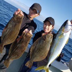 シーライオン 釣果