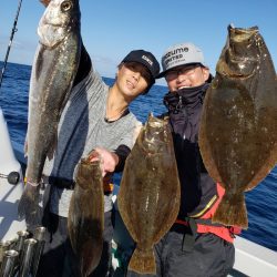 シーライオン 釣果