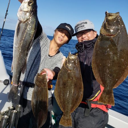 シーライオン 釣果