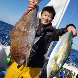 シーライオン 釣果