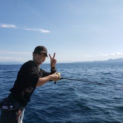 シーライオン 釣果