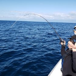 シーライオン 釣果