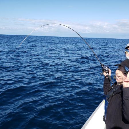 シーライオン 釣果