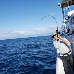 シーライオン 釣果