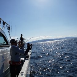 シーライオン 釣果