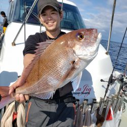 シーライオン 釣果