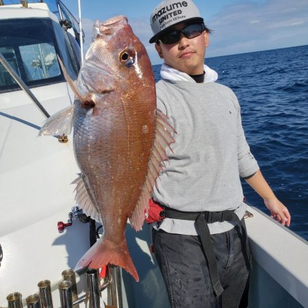 シーライオン 釣果