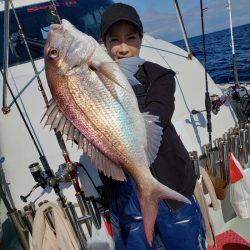 シーライオン 釣果