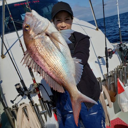 シーライオン 釣果