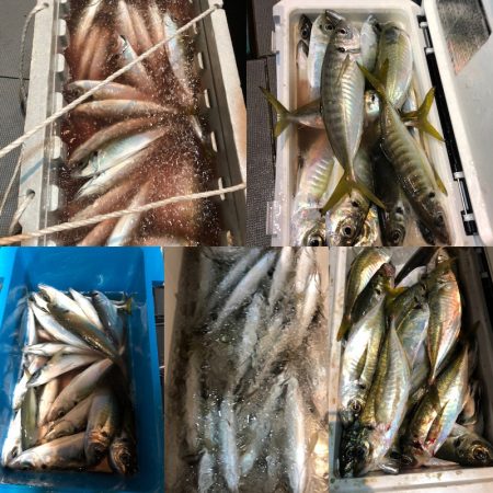 ＴＡＲＯＭＡＲＵ 釣果