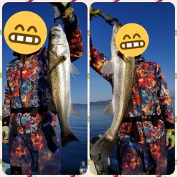 アマテラス 釣果