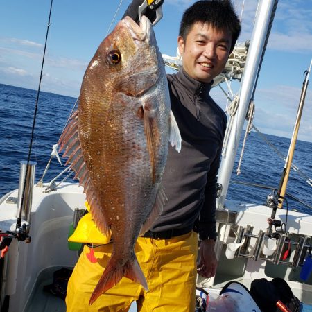 シーライオン 釣果