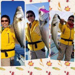 アマテラス 釣果