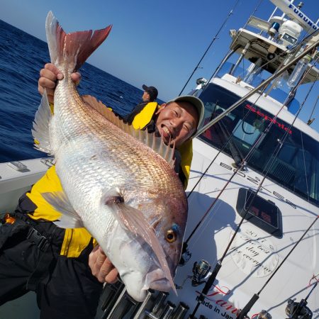 シーライオン 釣果