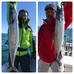 ビッグファイター 釣果