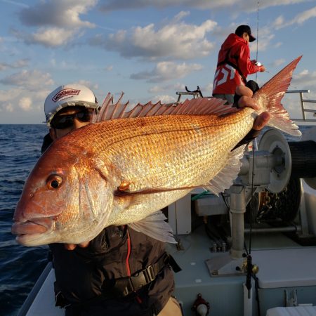 シーライオン 釣果