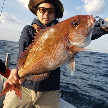 シーライオン 釣果