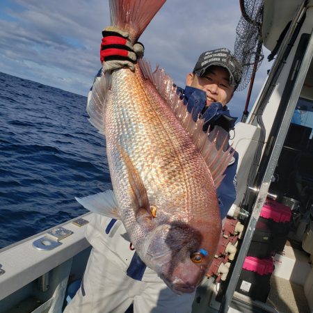 シーライオン 釣果