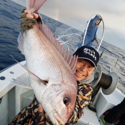 シーライオン 釣果